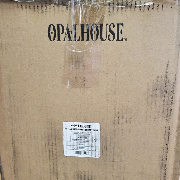 Opalhouse Rattan Pendant Lamp Light Fixture - Picture 12 of 12